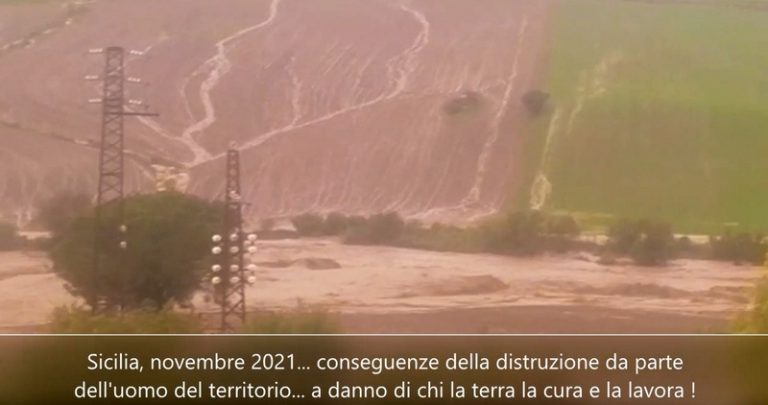Dissesto idrogeologico in Sicilia: lettera aperta del WWF Sicilia Nord Occidentale