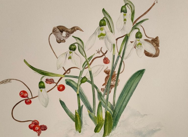 Quattro workshop di acquerello botanico