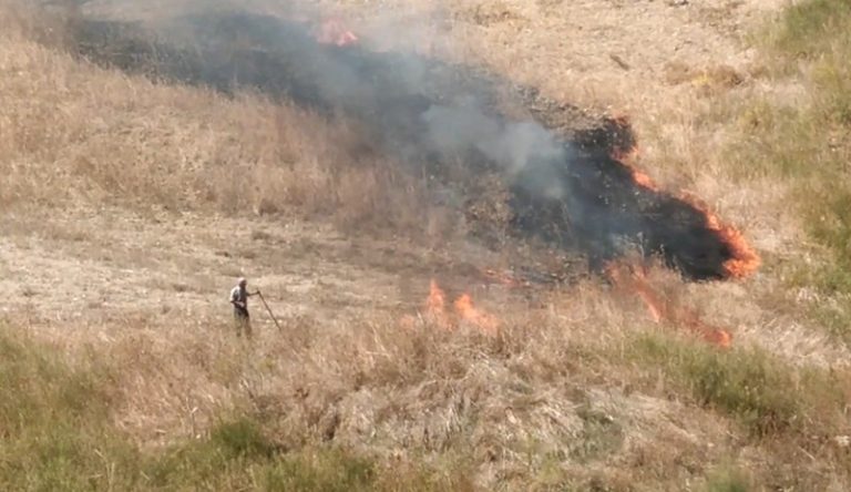 Guardie Wwf scoprono e filmano incendiario mentre appicca il fuoco nelle campagne