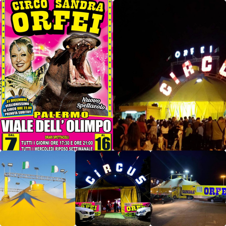 Il Circo Sandra Orfei stazionerà  a Palermo, nella piazza di Viale dell’Olimpo