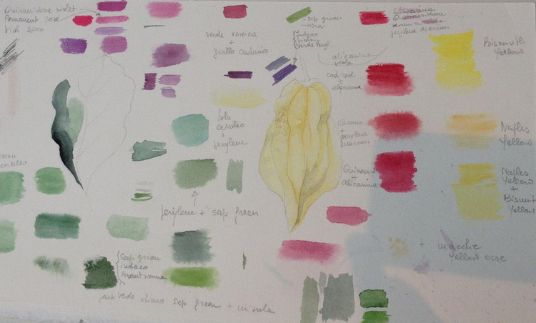 I colori dell’orto. Workshop di acquerello botanico riservato a principianti curiosi