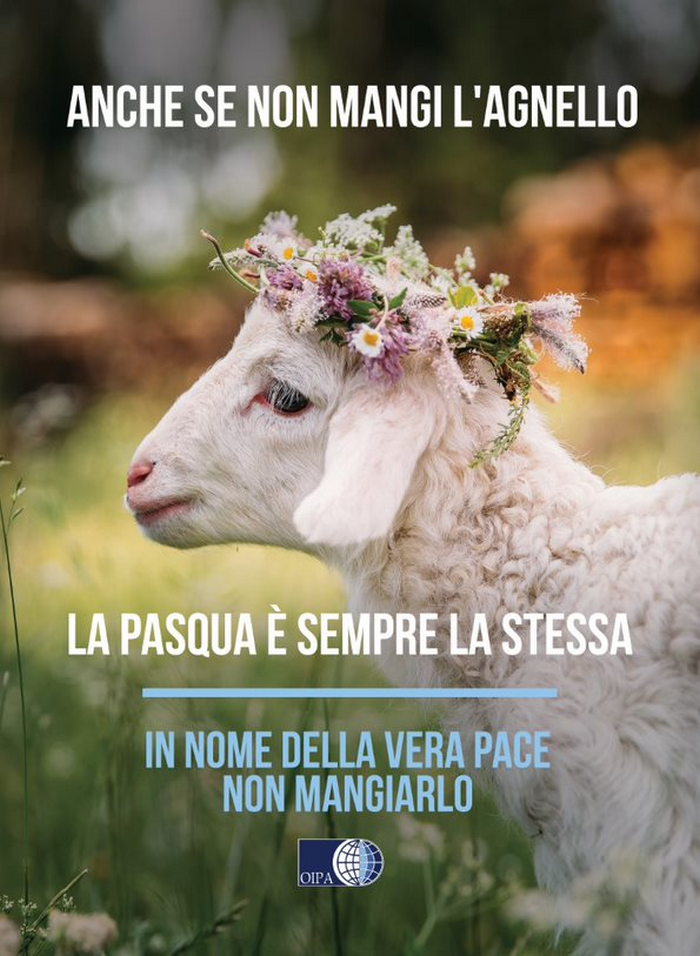 Un’immagine deliziosa per la campagna Oipa “se non mangi l’agnello, la Pasqua è sempre la stessa”