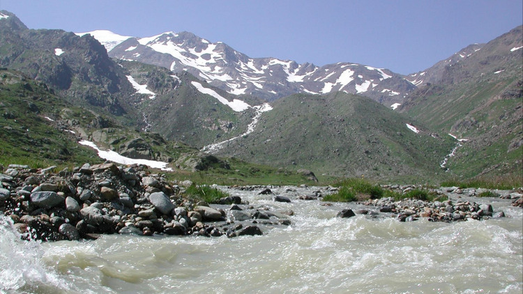 Biodiversità fluviale e ritiro dei ghiacciai. Vincitori e vinti