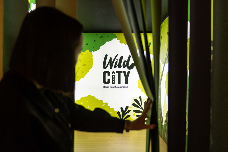 Wild City, i nuovi arrivi e il catalogo della mostra