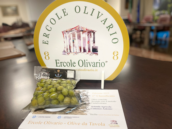 Premiazione “Olive da Tavola” 2023. Premiata l’eccellenza di quattro aziende Siciliane